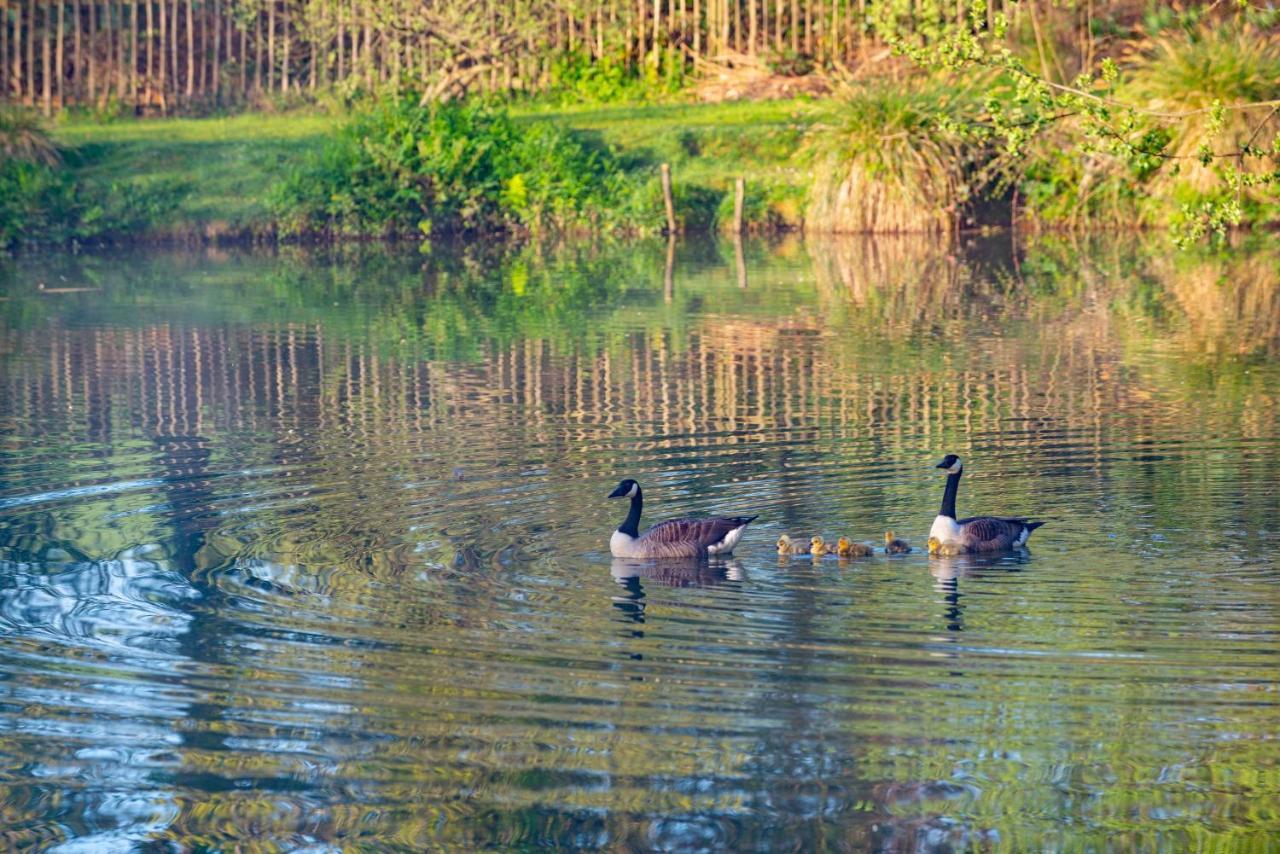 Beautiful Willow Lodge 67-4-6 Persons-Private Hot Tub-Pet Friendly-Tranquil Holiday Away From It All Yet Not Far To St Austell-The Holiday Home Has Two Bedrooms, Living & Dining Area, Equipped Kitchen -Decking-Al Fresco Dining-Fishing Lakes-Pet Frien Grampound Екстер'єр фото