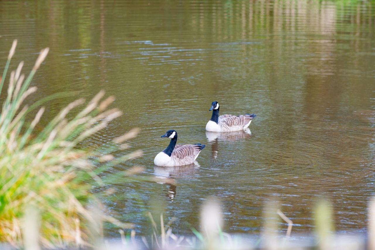 Beautiful Willow Lodge 67-4-6 Persons-Private Hot Tub-Pet Friendly-Tranquil Holiday Away From It All Yet Not Far To St Austell-The Holiday Home Has Two Bedrooms, Living & Dining Area, Equipped Kitchen -Decking-Al Fresco Dining-Fishing Lakes-Pet Frien Grampound Екстер'єр фото